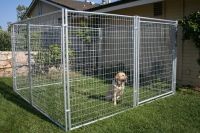 Dog Kennel