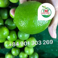 Fresh Seedless Lime