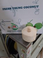 FRESH YOUNG COCONUT