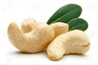 CASHEW NUT