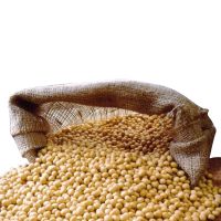 SOYBEANS