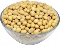 Buy Premium Soyabean / Soybeans Wholesale Price