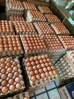 Best Quality Fresh Brown Table Chicken Eggs Cheap Fresh Chicken Table Eggs Fresh Chicken in Bulk Brown Eggs