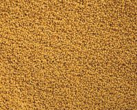 mustard white, mustard black, mustard yellow 