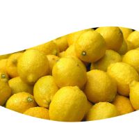  Wholesale Eureka Lemon, Fresh Lemon, Citrus Fruits