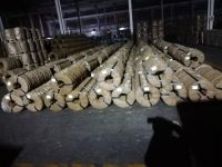 steel strapping 16X0.5MM  19X0.6MM