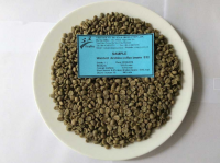 Washed Arabica Green Coffee Beans S18