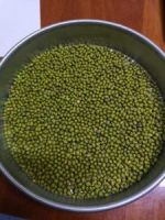 Green Mung Beans