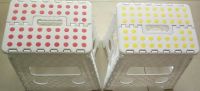 Portable Step Stool