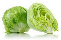 Lettuce iceberg