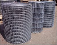 Welded Wire Mesh