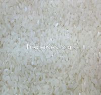 Rice In The Range Of Wholesale - Shipping Worldwide CIF/FOB/CFR