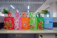 Non Woven Bags