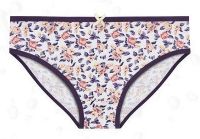 women's panties, brief