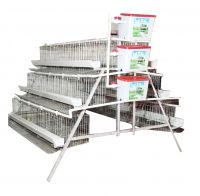 Automatic hot galvanized poultry farming egg chicken cages  for africa