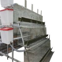 Durable poultry battery chicken cages with Automatic system