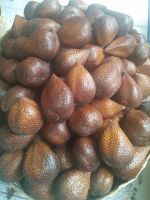 Fresh Salacca / Snakeskin / Snake Fruit