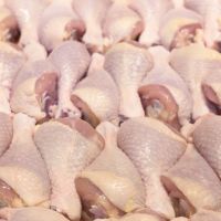 Halal Whole Frozen Chicken