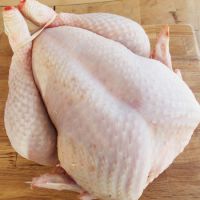 Brazilian Halal Frozen Whole Chicken, Chicken Parts premium Grade A