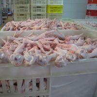 BRAZILIAN HALAL FROZEN WHOLE CHICKEN AND CHICKEN SHAWAMA !!! PREMIUM SUPPLIER !!! 