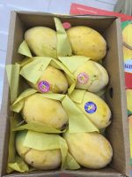 Fresh Mangoes