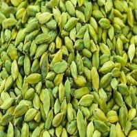 Good Quality Green Cardamom 