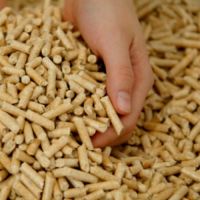 Pine wood pellets