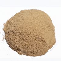 BEER MEAL RESIDUE - BREWER GRAIN CHEAP PRICE FOR ANIMAL FEED FROM VIETNAM/Ms.Thi Nguyen +84 988 872 713