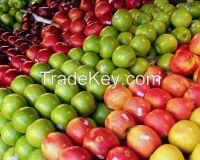 Fuji Fresh Apples