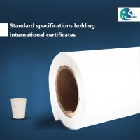 PE coated paper Roll