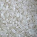 Japonica Rice | Rice Supplier| Rice Exporter | Rice Manufacturer | Rice Trader | Rice Buyer | Rice Importers | Import Rice