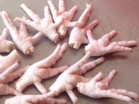 Halal Frozen Whole Chicken / Frozen Chicken Feet / Frozen Chicken Paws