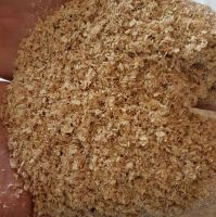 WHEAT BRAN FOR ANIMAL FEED Available