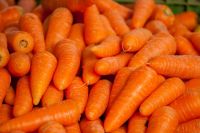 Fresh Carrot 