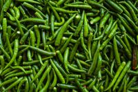 Fresh Green Chilli