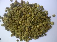 Robusta Green Coffee Beans