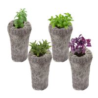 PEAT PELLET DISC HOME INDOOR PLANT VEGETABLE GROWING KIT SYSTEM