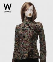 WINDOW France REVOLUTIONARY COMPONENT EYE AND