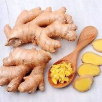 New Arrival!!! - Fresh Air Dried Ginger, Supply In 40'' Reefer Container Ginger