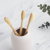 Eco Friendly Bamboo Toothbrush Ms.Luna +84 357 121 200