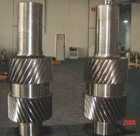 gear shaft