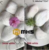 White Tumble Pebble Stone