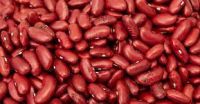 Kidney Beans