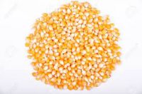 Neatex Yellow Corn