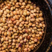 Coriander Seeds Wholesale high quality pure seeds split bulk Coriander Caraway seeds plant 