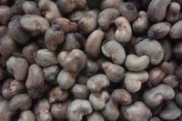 Raw cashew nuts