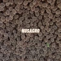 Papaya California Seeds