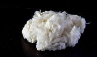 Cotton Lint | Cotton Fiber