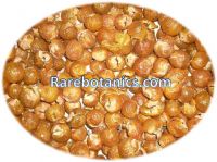 Soapnut shells