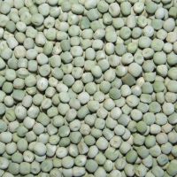  organic dry Green Peas